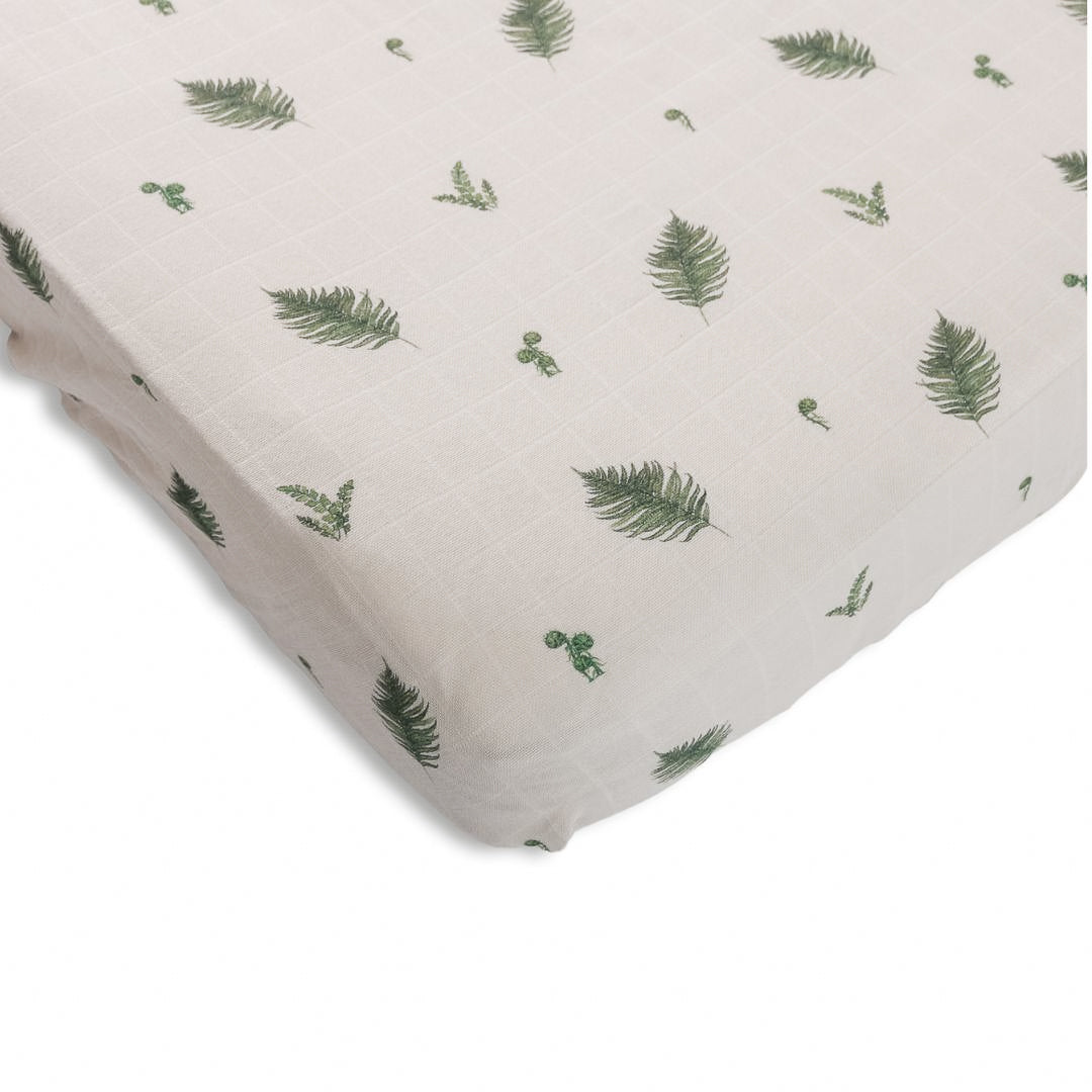 Ensemble de draps contours - Fougère & Ivoire