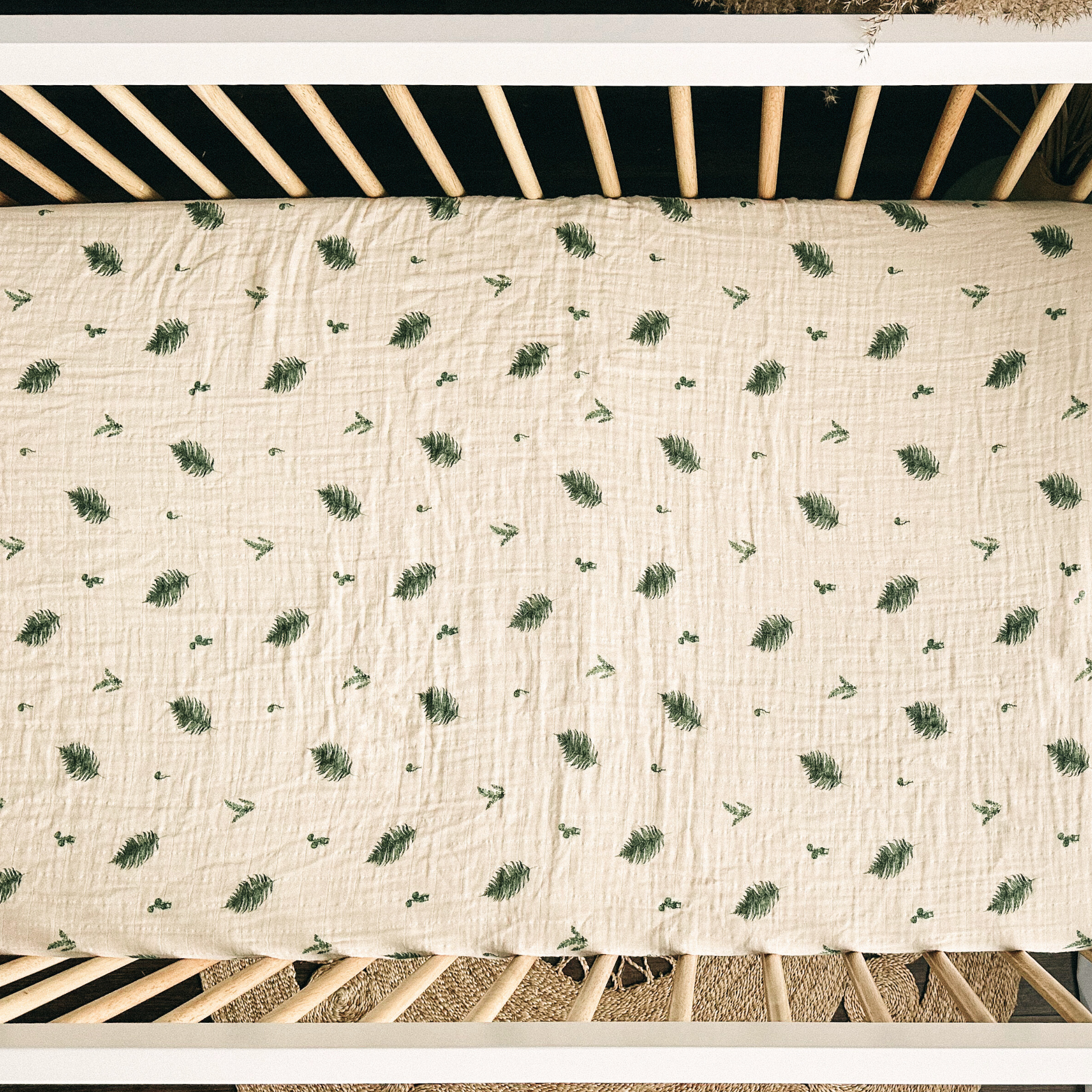 Ensemble de draps contours - Fougère & Ivoire